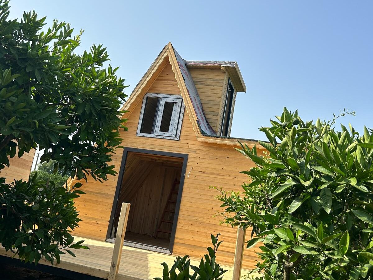 whatsapp image 2026 02 02 at 12.15.27 (2)